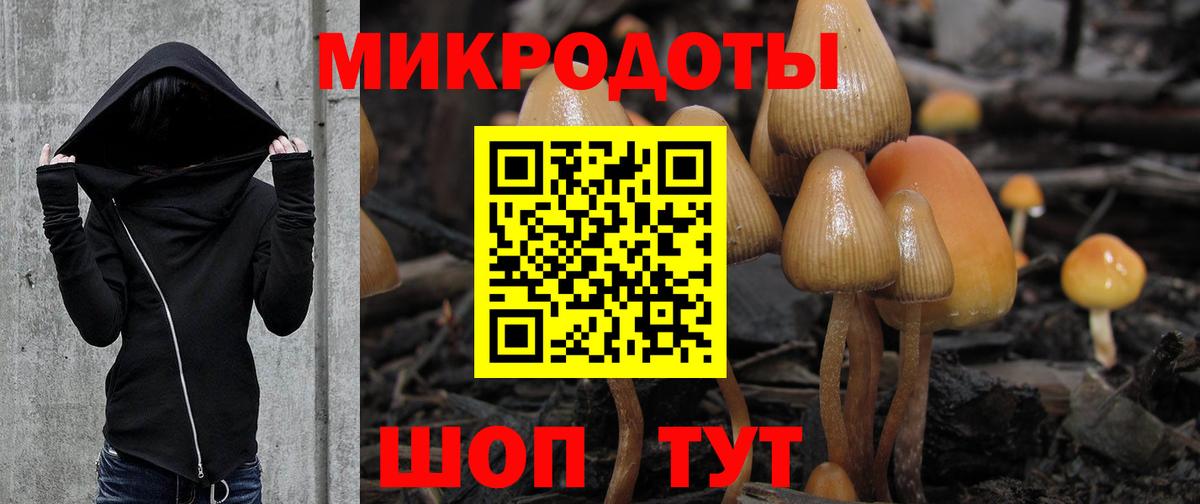 Алексеевка  Псилоцибиновые грибы GOLDEN TEACHER  Вход с VPN  Псилоцибиновые грибы Magic Shrooms 